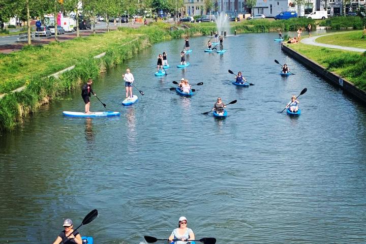 a group of people swimming in a body of water